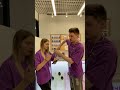 Розыгрыш iPad 07.2024