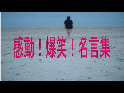 感動！爆笑！名言集【純な言葉が心に響く】