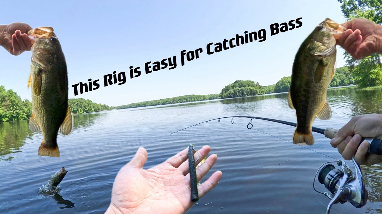 This Rig is Easy for Catching Bass - YouTube