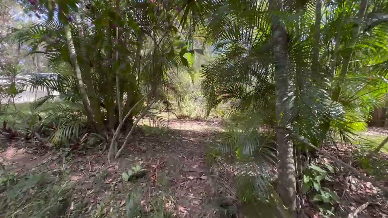 Lot 300 Stottenville Bauple