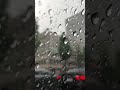 The Sound Of Rain Shorts