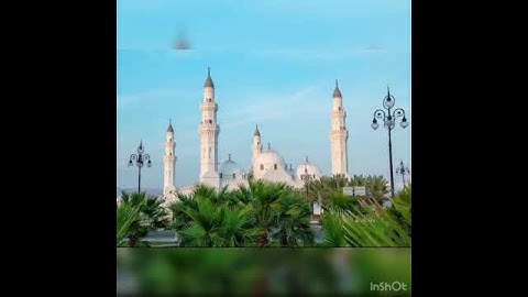 يزيد الحويجي من صلاة الفجر ما تيسر من سورة البقرة