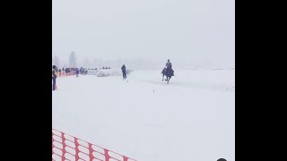 Whitefish Skijoring 2024 race canceled
