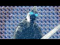Should You Main a Frost Death Knight in Shadowlands? Full PvP & PvE Review + Covenant Tier List/Tmog