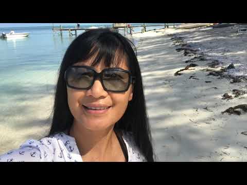วีดีโอ: วิธีวางแผนการเดินทางวันเดียวไปยังเกาะแอตแลนติสพาราไดซ์ในบาฮามาส