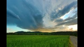 G  Montanari   Maria Daines   I Will Wear Black   Pinterest1