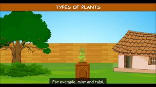 EVS  Class 4   Abdul in the Garden   Types of Plants  Study Zone Official