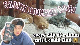 all soonie doongie dori moments