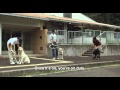 Quill: The Life of A Guide Dog - Trailer