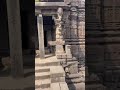 Prachi shiv Mandir Sinnar #shortvideo