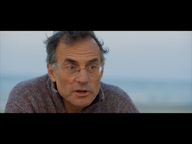 Bikipedia 2017 - Piloti d'ammiraglie