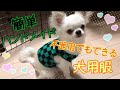 【コスプレ】犬用の服を作ってみました