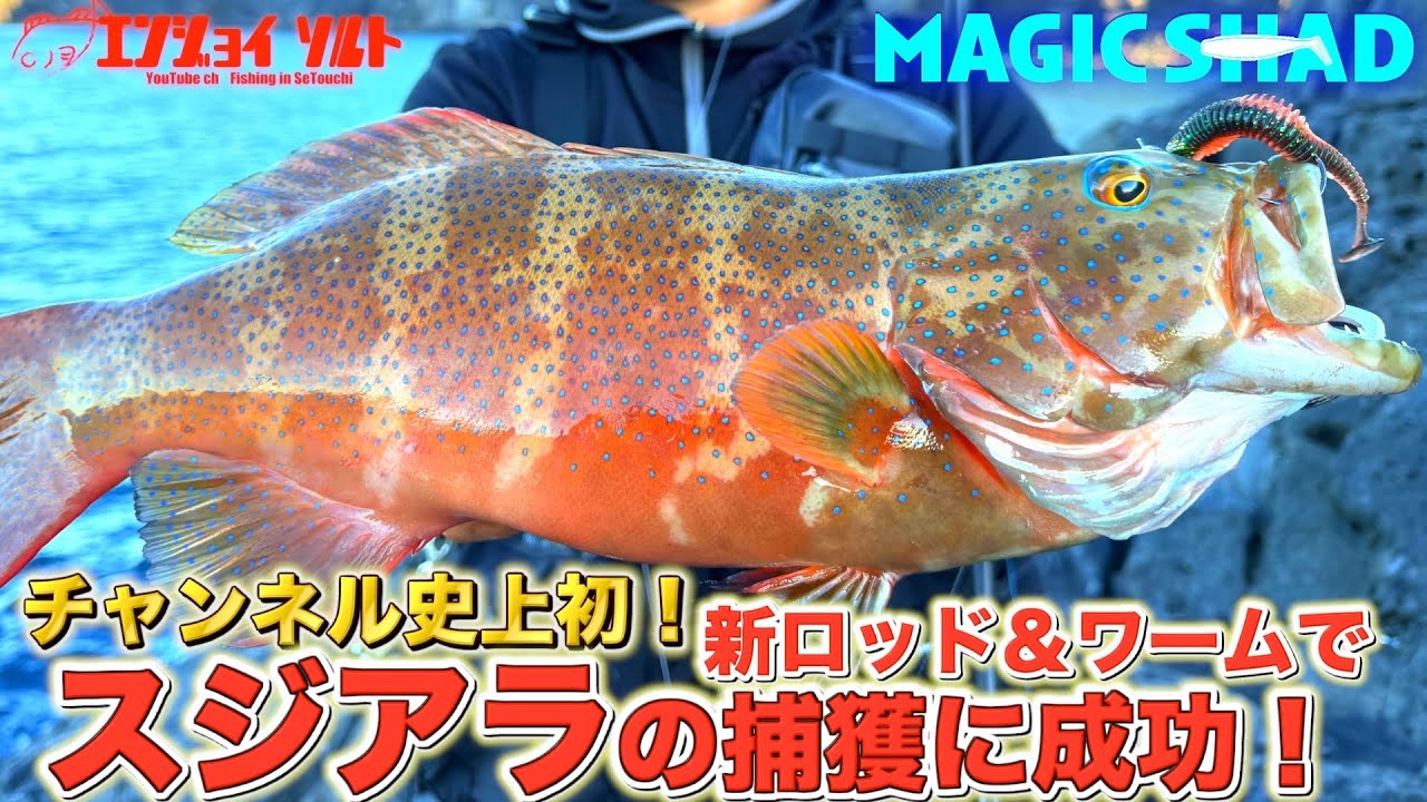 沖磯ロックフィッシュでついに超高級魚に遭遇！暴力的な引きと真っ向勝負！