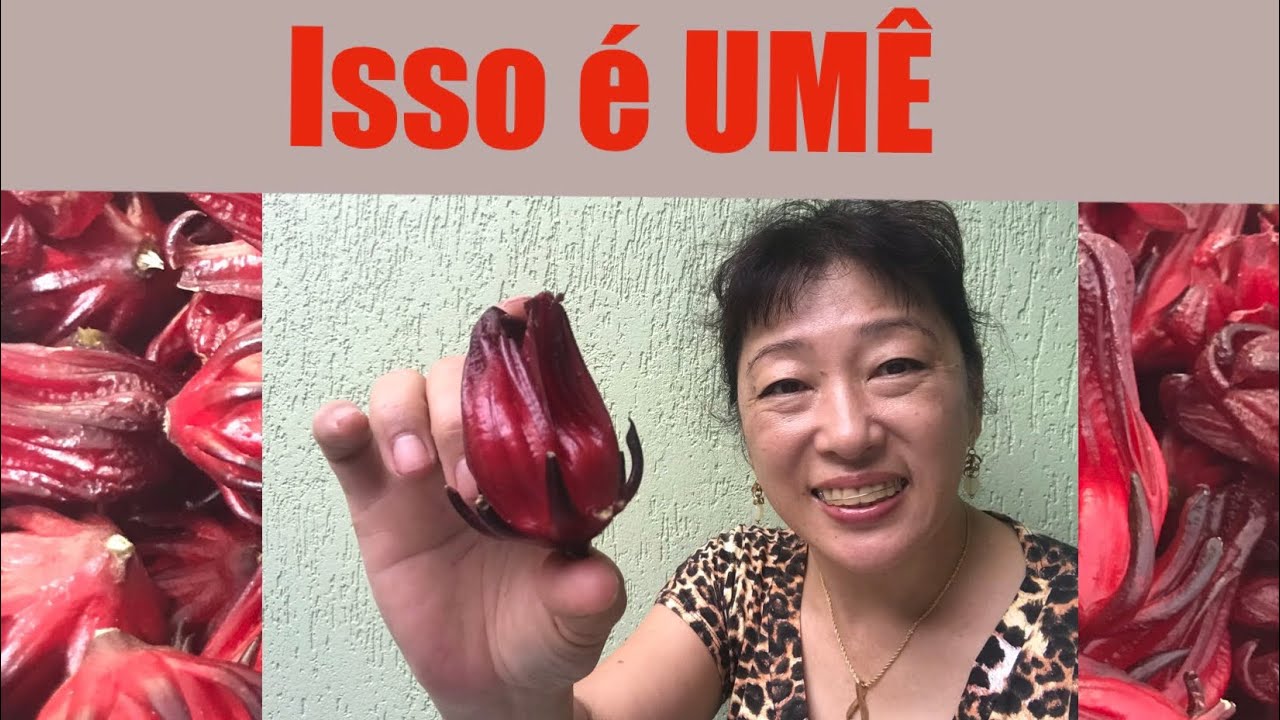 ⭐️5 DICAS DO USO DO HIBISCO - O UMÊ JAPONÊS DO BRASIL