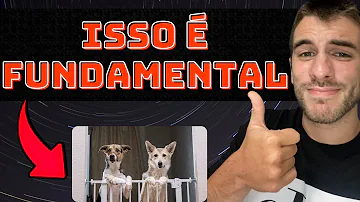 Como delimitar o espaço do cachorro?