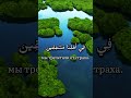 Сура АТ тур ❤️☪️ часть 1