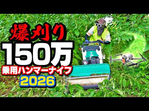 Destroying an Overgrown Weed Jungle with a $10k High-Speed Mower! [ZHR800]