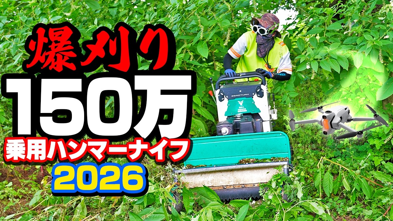 Destroying an Overgrown Weed Jungle with a $10k High-Speed Mower