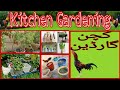 Roof Top Kitchen Gardening at Home