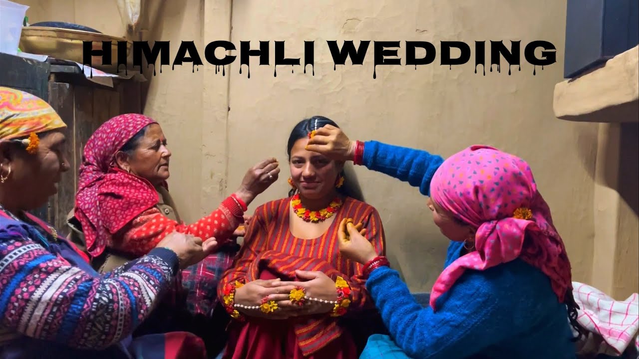 A Himachli wedding || Amdj vlog || Barot valley