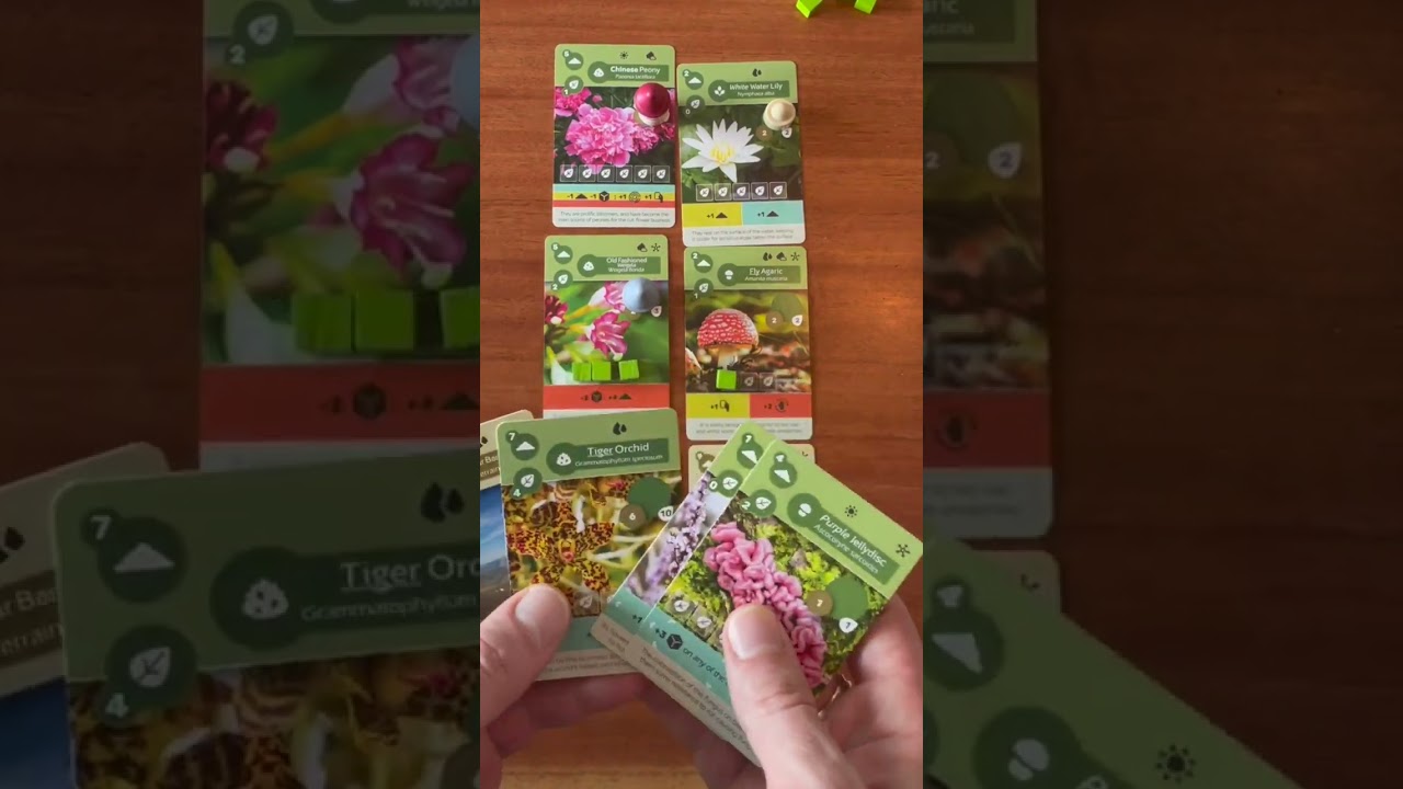 Настольная игра «Земля» за 60 секунд