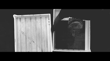Film: Wet plate collodionHans Jonsson