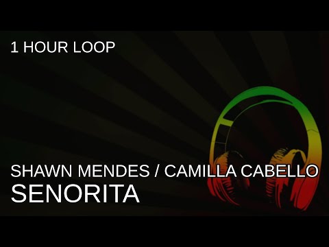 Shawn Mendes Camila Cabello Senorita 1 Hour Loop 