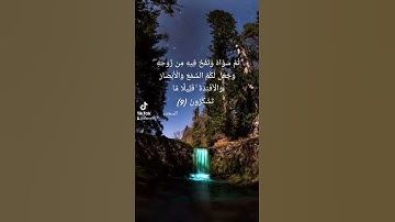 تلاوة مباركة للشيخ عبدالرحمن السديس
