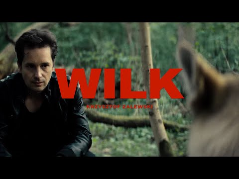 Krzysztof Zalewski - Wilk (Official Video)