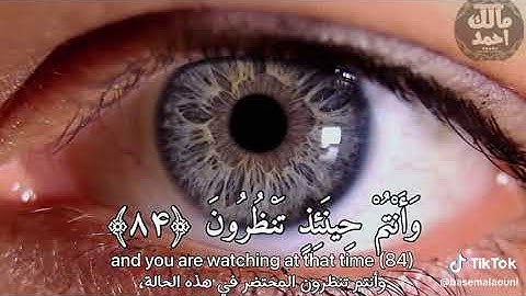 سورة الواقعة بصوت الشيخ مالك احمد