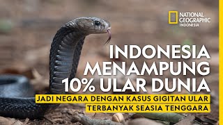 Cara Bedakan Ular Berbisa dan Tak Berbisa - National Geographic Indonesia