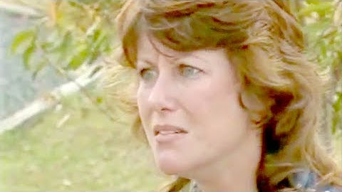 Episode 377 - Prisoner Cell Block H