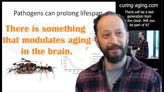 Peter Lidsky - Why do we age and how to stop it? - Curing Aging 2024