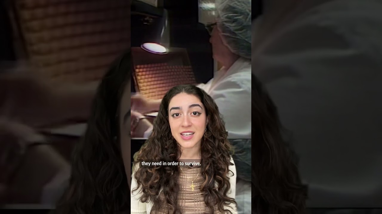 Eli Lilly will reduce the list price of two of its most prescribed insulins by 70%.