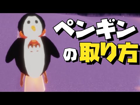 風壁ルート攻略！ソロでペンギンを取りに行く方法【Sky星を紡ぐ子どもたち】