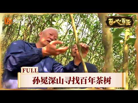 FULL《百心百匠》第18期：孙冕深山寻找百年茶树，吴晓波体验制茶工序｜Hundred Heart Hundred Caftsmen｜Mango TV