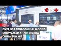 Over 30 Large-scale AI Models Showcased at 7th Digital China Summit