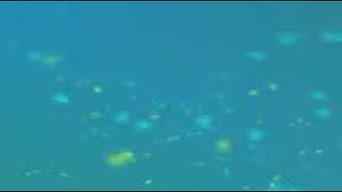 سورة غافر بصوت الشيخ القارئ سعد الغامدي