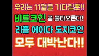 비트코인 리플 에이다 도지코인 모두 불타오른다!