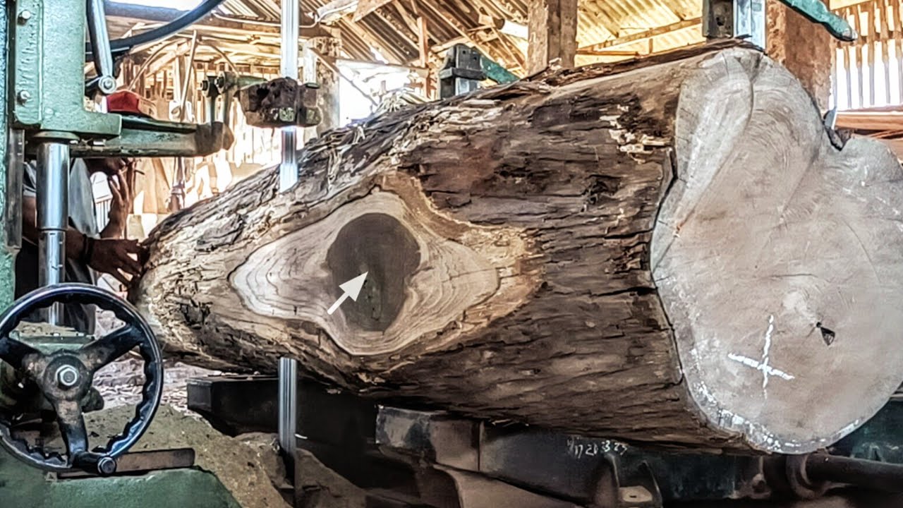 Amazing! The process of sawing giant teak is very beautiful - YouTube