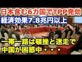 【衝撃】日本含む6カ国でTPP発効！アメリカ抜きでもメリットが多くある！中国の一帯一路は頓挫【海外の反応】【なぎさチャンネル】