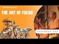 The art of focus  how to improve your focus  gauranga das