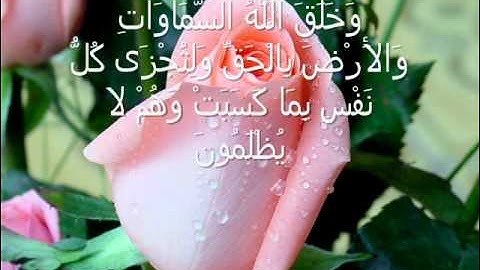 سورة الجاثية هانى الرفاعى تلاوة خاشعة نادرة Quran