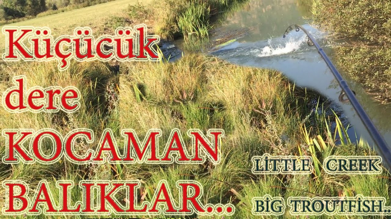 BALIK AVI - Küçük Dere KOCAMAN BALIKLAR - HER SANİYESİ AKSİYON..BİG TROUT  FİSH