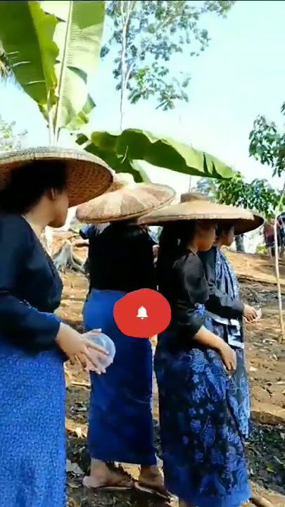 Pesona Suku Baduy | Tradisi Ngaseuk Nanam Padi #viral #shorts #banten #wisatabanten