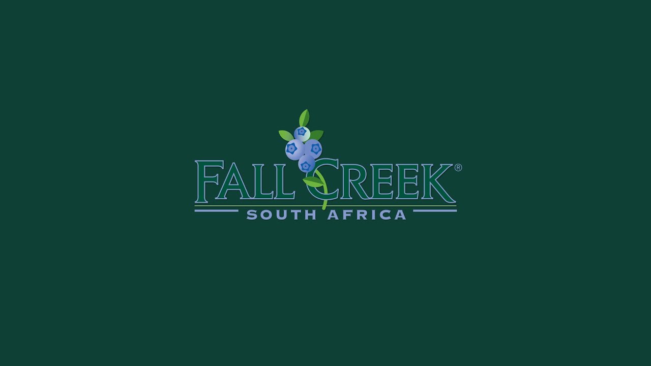 Fall Creek South Africa - An Introduction