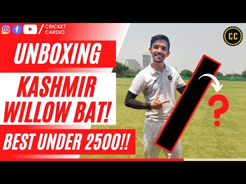 Unboxing Kashmir Willow Cricket