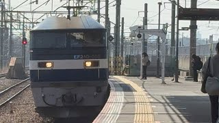 EF210-335が貨物列車を牽引して新座駅2番線を通過するシーン