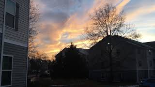 IMG 4188
