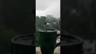 Download Lagu Ekvilan hindi song WhatsApp status MP3